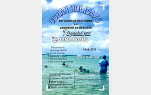 OCEAN HOLIDAYS IS BACK !