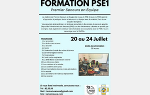 Formation PSE 1